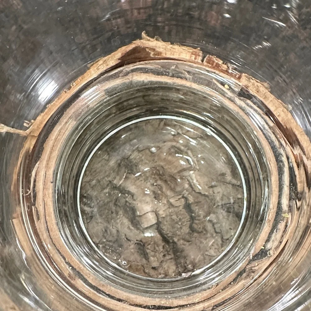 Rustic Birch Wood Glass Holders